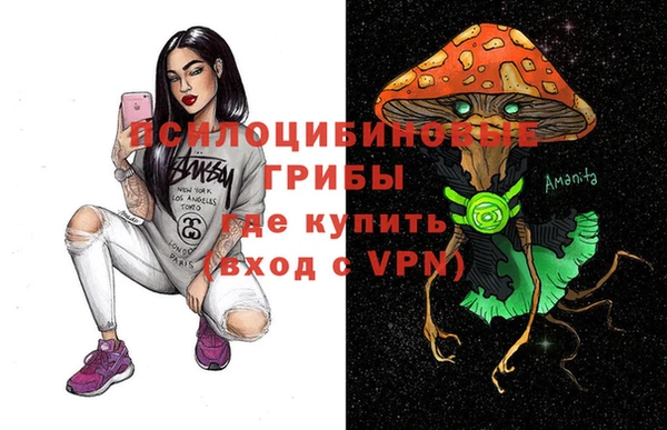 герыч Алексин
