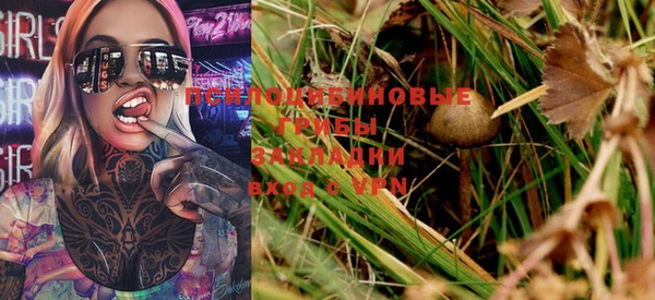 герыч Алексин