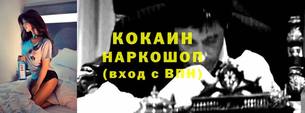 прущий лед Алзамай