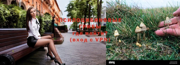 герыч Алексин